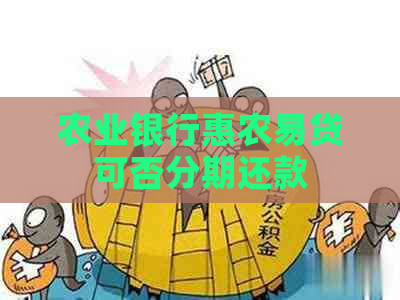 农业银行惠农易贷可否分期还款