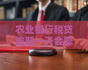 农业银行税贷逾期一天会影响信用吗