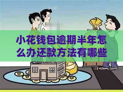 小花钱包逾期半年怎么办还款方法有哪些