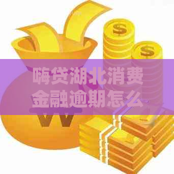 嗨贷湖北消费金融逾期怎么处理