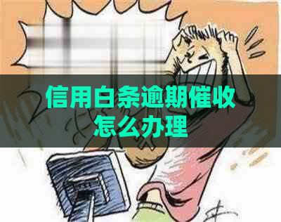 信用白条逾期怎么办理