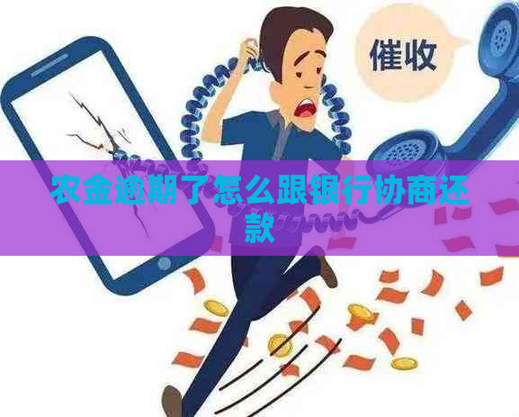 农金逾期了怎么跟银行协商还款