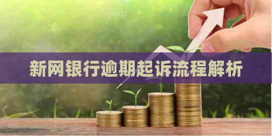 新网银行逾期起诉流程解析