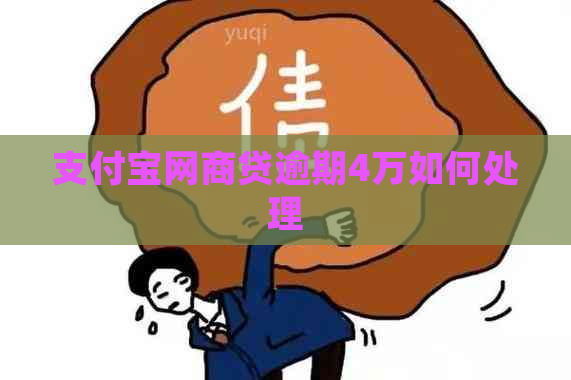 支付宝网商贷逾期4万如何处理