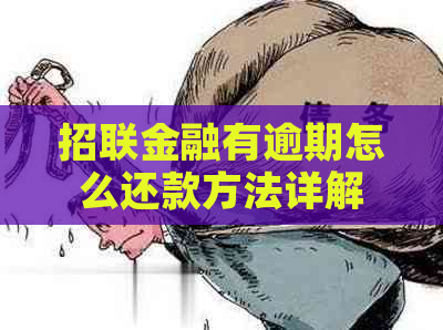 招联金融有逾期怎么还款方法详解