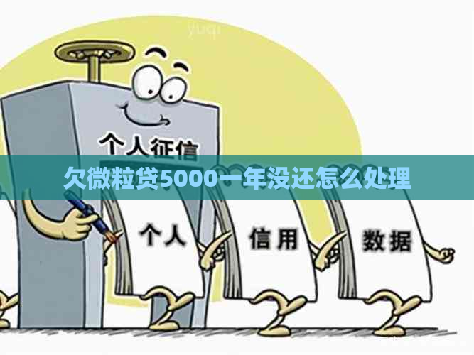 欠微粒贷5000一年没还怎么处理