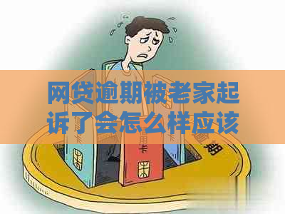 网贷逾期被老家起诉了会怎么样应该如何应对