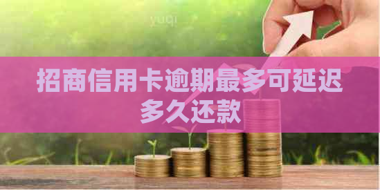 招商信用卡逾期最多可延迟多久还款