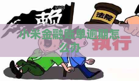 小米金融账单逾期怎么办