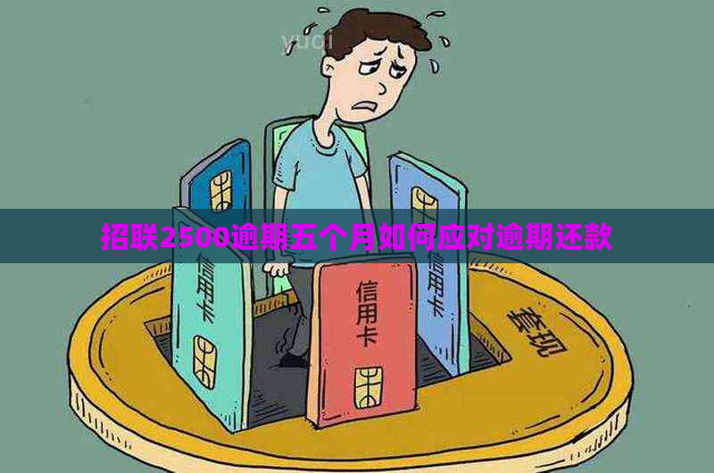 招联2500逾期五个月如何应对逾期还款