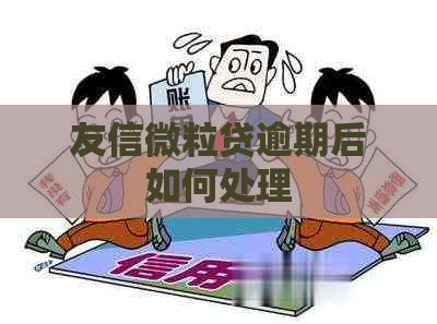 友信微粒贷逾期后如何处理