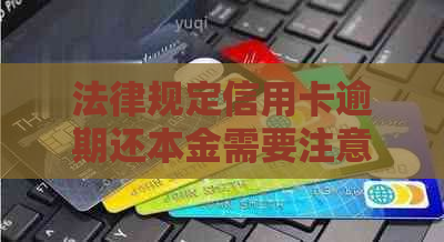 法律规定信用卡逾期还本金需要注意的事项