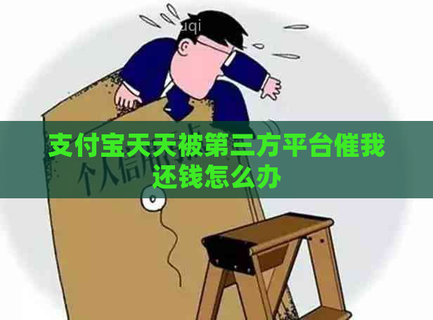 支付宝天天被第三方平台催我还钱怎么办