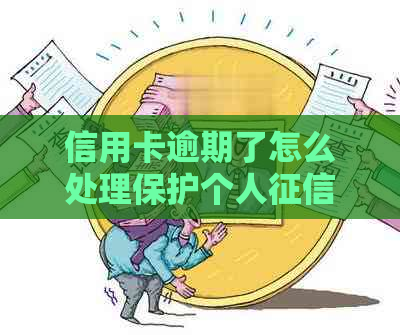 信用卡逾期了怎么处理保护个人