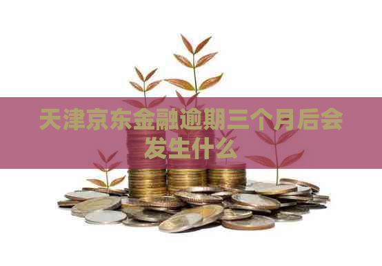 天津京东金融逾期三个月后会发生什么