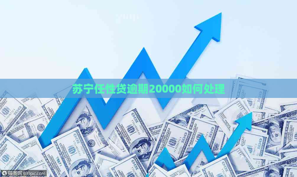 苏宁任性贷逾期20000如何处理