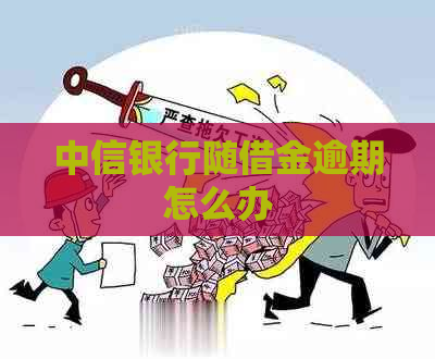 中信银行随借金逾期怎么办