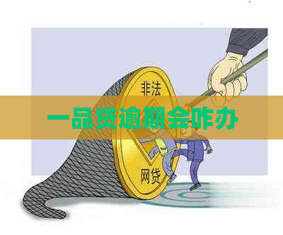 一品贷逾期会咋办