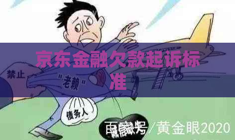 京东金融欠款起诉标准