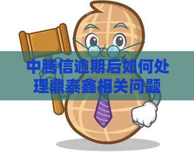 中腾信逾期后如何处理鼎泰鑫相关问题