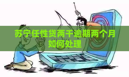 苏宁任性贷两千逾期两个月如何处理