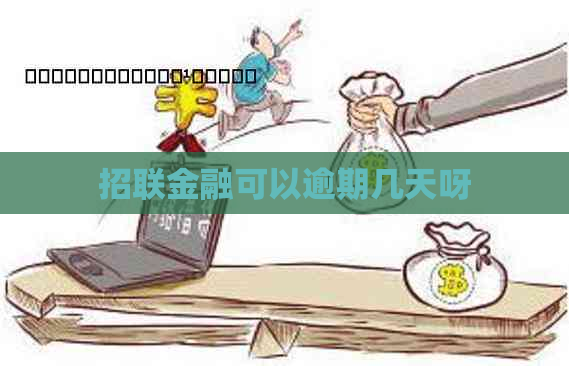 招联金融可以逾期几天呀