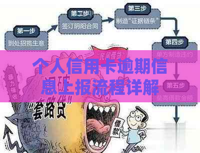 个人信用卡逾期信息上报流程详解