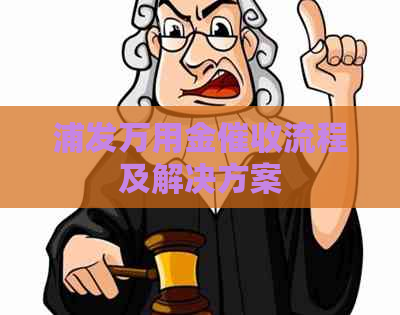 浦发万用金流程及解决方案