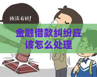 金融借款纠纷应该怎么处理