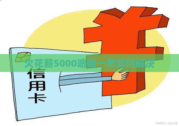 欠花薪5000逾期一年如何解决