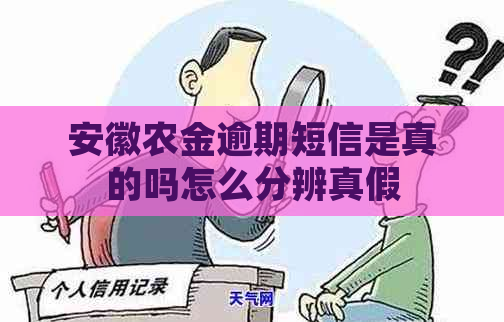 安徽农金逾期短信是真的吗怎么分辨真假