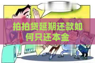 延期还款如何只还本金