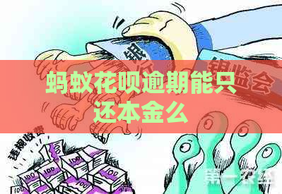 蚂蚁花呗逾期能只还本金么