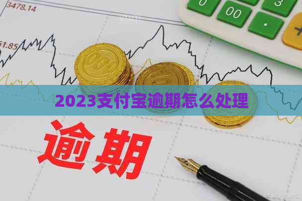 2023支付宝逾期怎么处理