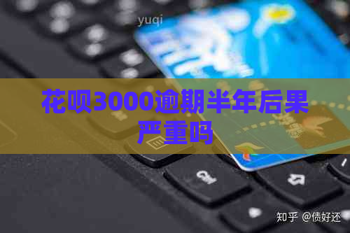 花呗3000逾期半年后果严重吗