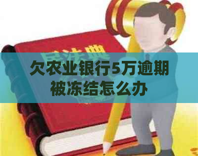 欠农业银行5万逾期被冻结怎么办