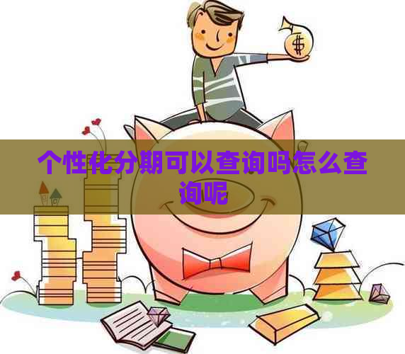 个性化分期可以查询吗怎么查询呢