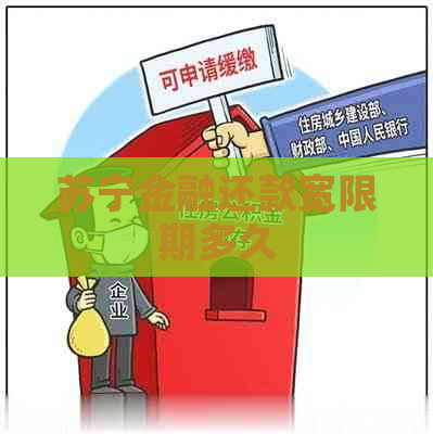 苏宁金融还款宽限期多久