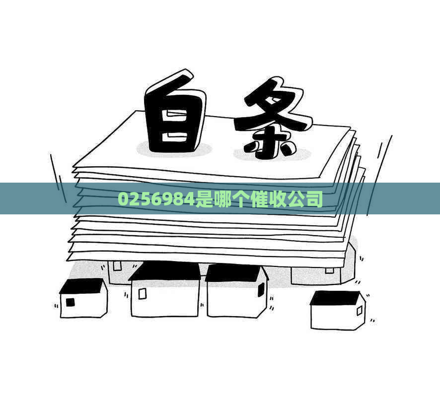 0256984是哪个公司