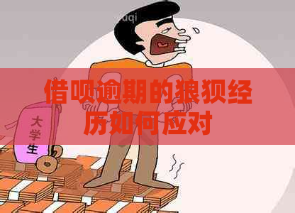 借呗逾期的狼狈经历如何应对