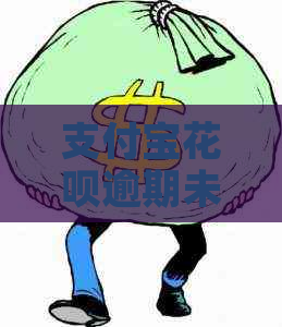 支付宝花呗逾期未还会怎么样