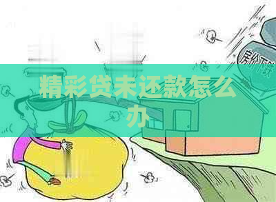 精彩贷未还款怎么办