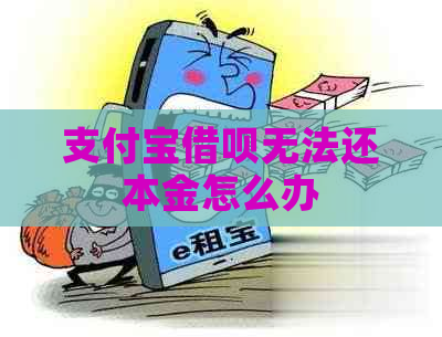 支付宝借呗无法还本金怎么办