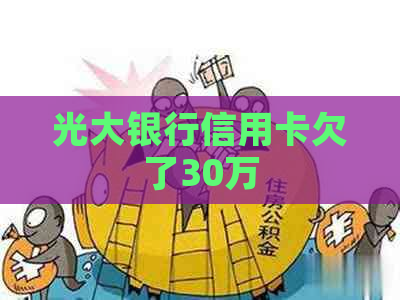 光大银行信用卡欠了30万