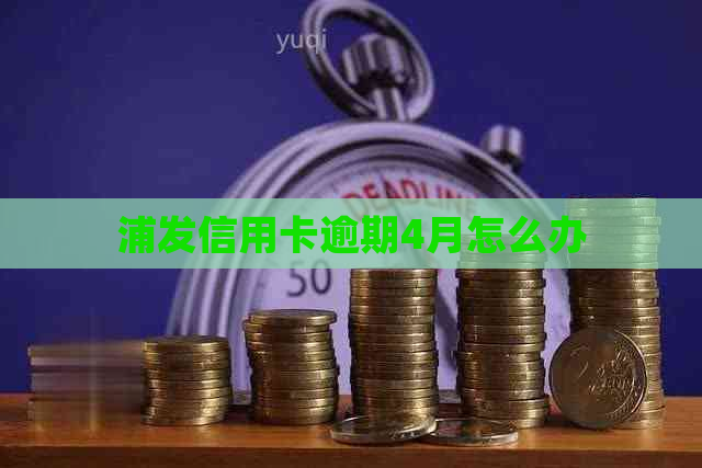 浦发信用卡逾期4月怎么办