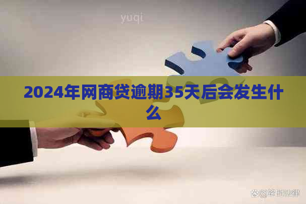 2024年网商贷逾期35天后会发生什么