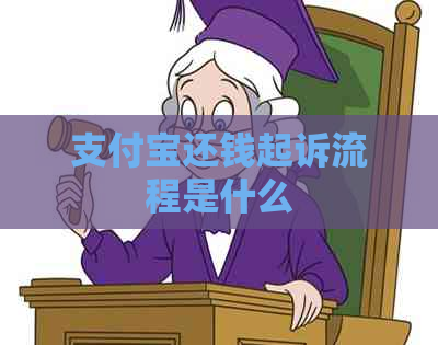 支付宝还钱起诉流程是什么