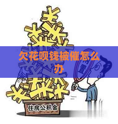 欠花呗钱被催怎么办