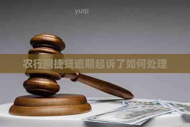 农行网捷贷逾期起诉了如何处理