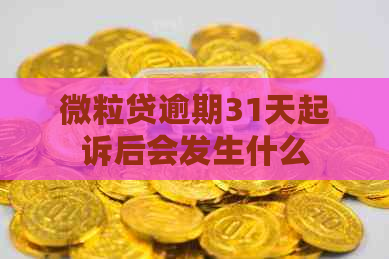 微粒贷逾期31天起诉后会发生什么